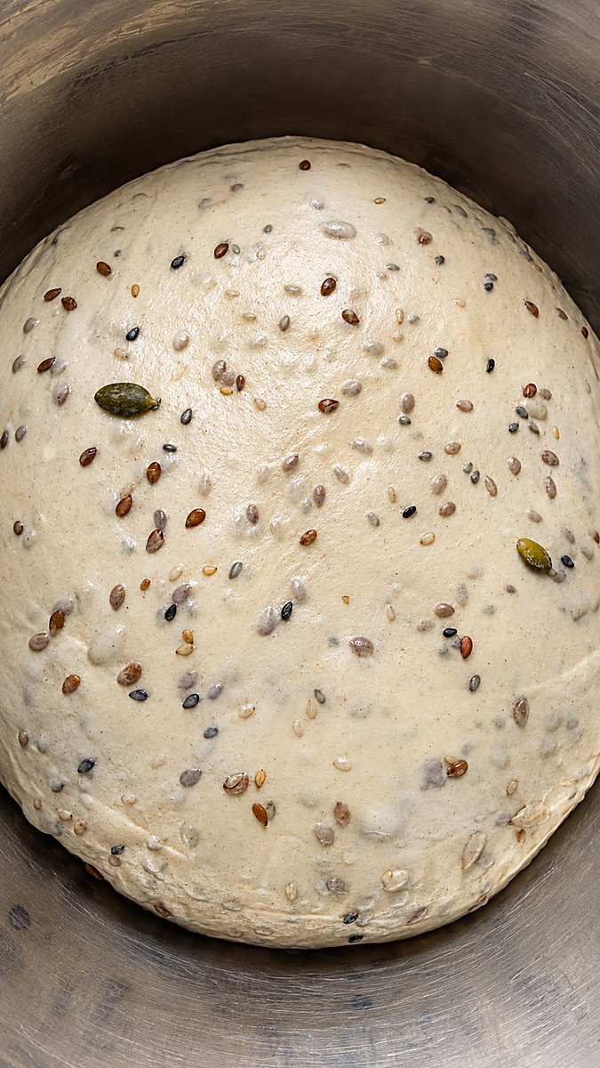 Masa madre en fermentación con semillas